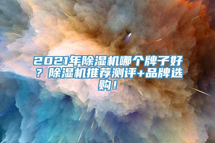 2021年除濕機哪個牌子好？除濕機推薦測評+品牌選購！