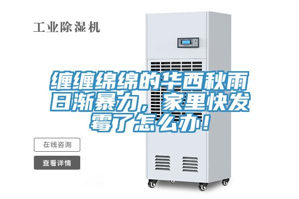 纏纏綿綿的華西秋雨日漸暴力，家里快發(fā)霉了怎么辦！