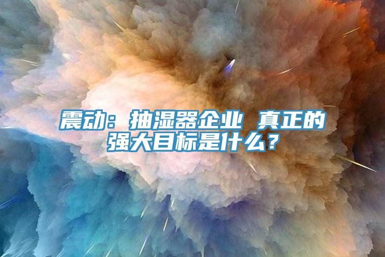 震動(dòng)：抽濕器企業(yè) 真正的強(qiáng)大目標(biāo)是什么？