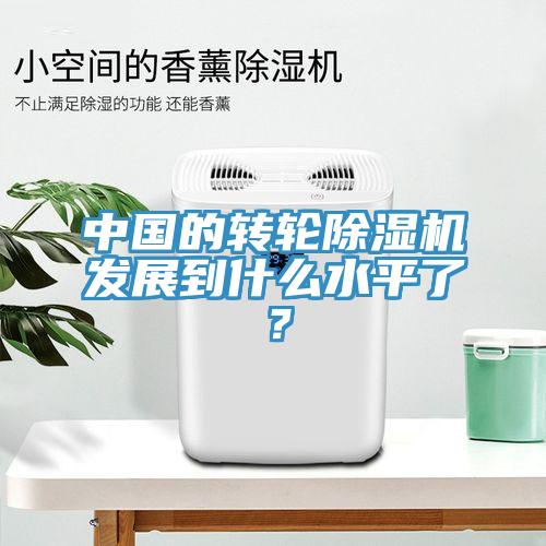 中國(guó)的轉(zhuǎn)輪除濕機(jī)發(fā)展到什么水平了？