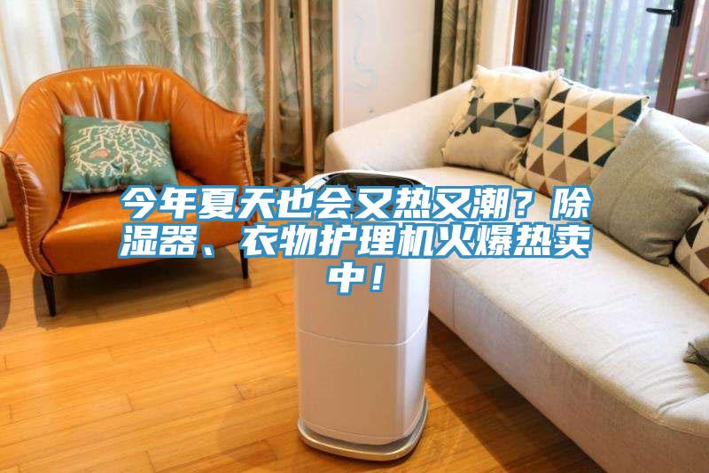 今年夏天也會又熱又潮？除濕器、衣物護理機火爆熱賣中！
