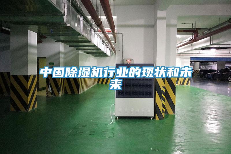 中國(guó)除濕機(jī)行業(yè)的現(xiàn)狀和未來(lái)