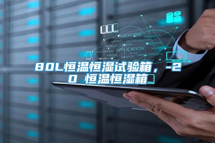 80L恒溫恒濕試驗箱，-20℃恒溫恒濕箱