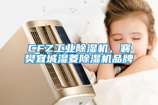 CFZ工業(yè)除濕機，襄樊宜城濕菱除濕機品牌