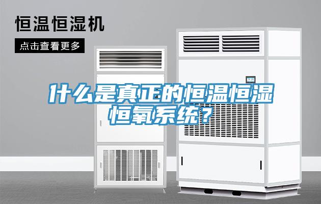 什么是真正的恒溫恒濕恒氧系統(tǒng)？