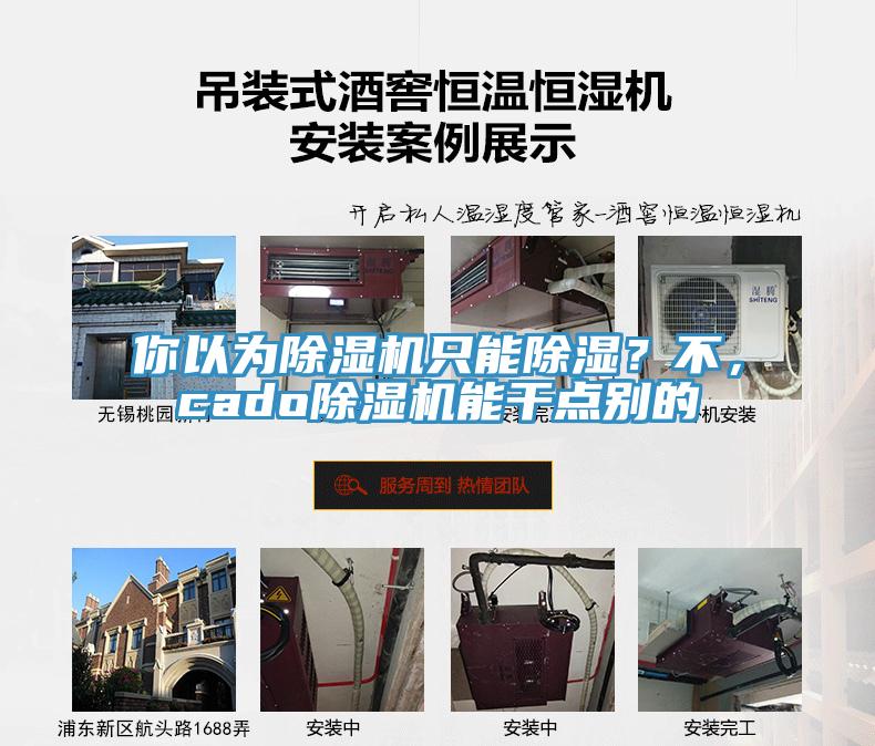 你以為除濕機(jī)只能除濕？不，cado除濕機(jī)能干點(diǎn)別的