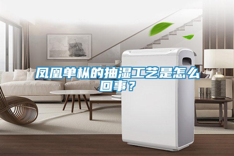 鳳凰單樅的抽濕工藝是怎么回事？
