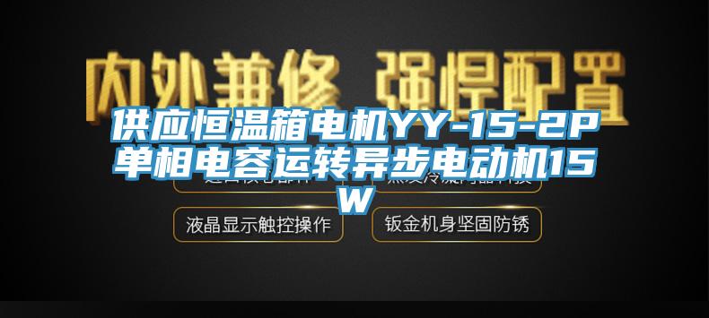 供應(yīng)恒溫箱電機(jī)YY-15-2P單相電容運轉(zhuǎn)異步電動機(jī)15W