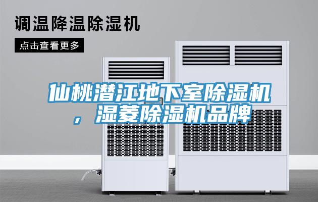 仙桃潛江地下室除濕機(jī)，濕菱除濕機(jī)品牌