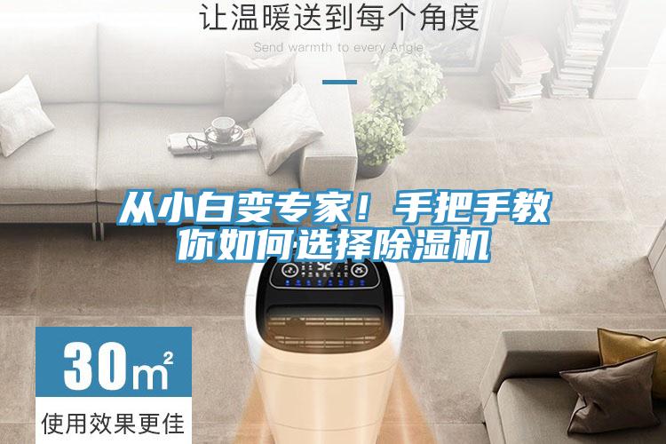 從小白變專家！手把手教你如何選擇除濕機