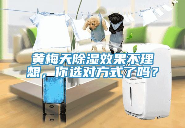 黃梅天除濕效果不理想，你選對(duì)方式了嗎？