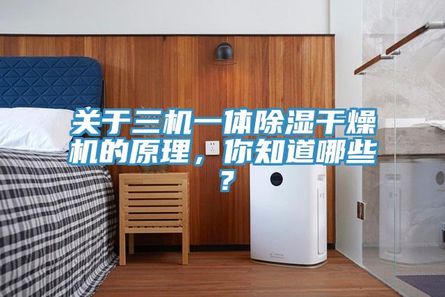 關(guān)于三機(jī)一體除濕干燥機(jī)的原理，你知道哪些？