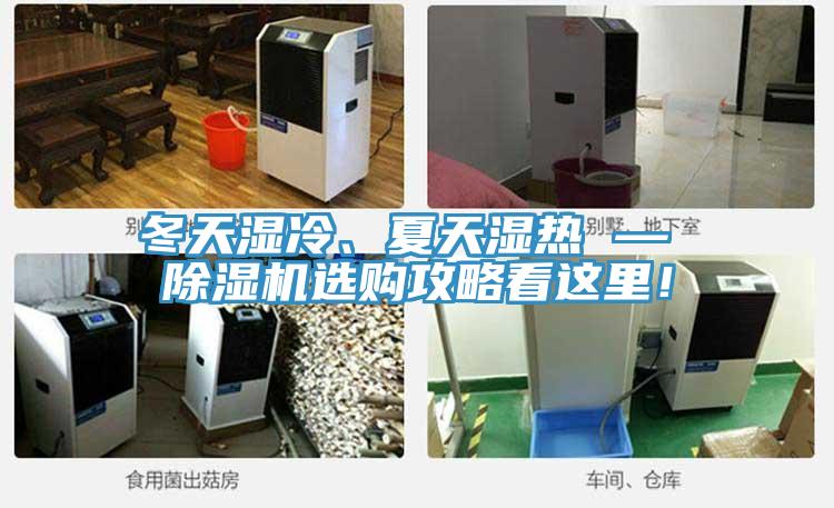 冬天濕冷、夏天濕熱 — 除濕機(jī)選購攻略看這里！