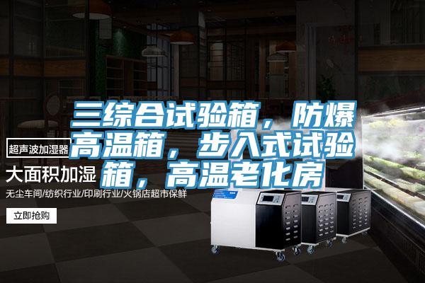 三綜合試驗箱，防爆高溫箱，步入式試驗箱，高溫老化房