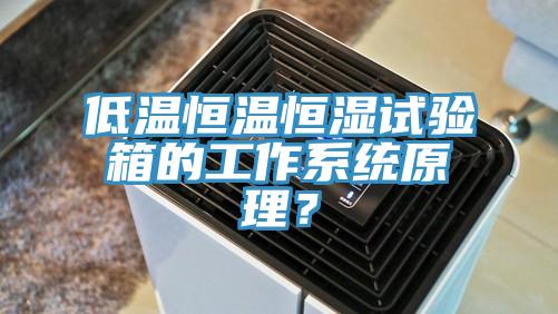 低溫恒溫恒濕試驗箱的工作系統(tǒng)原理？