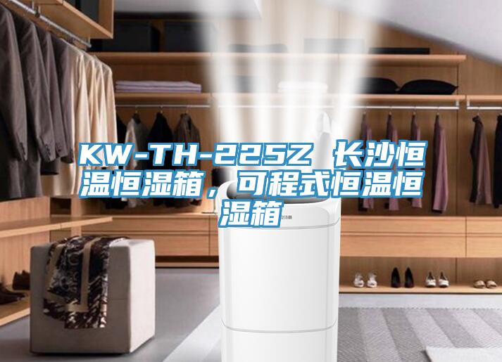 KW-TH-225Z 長(zhǎng)沙恒溫恒濕箱，可程式恒溫恒濕箱