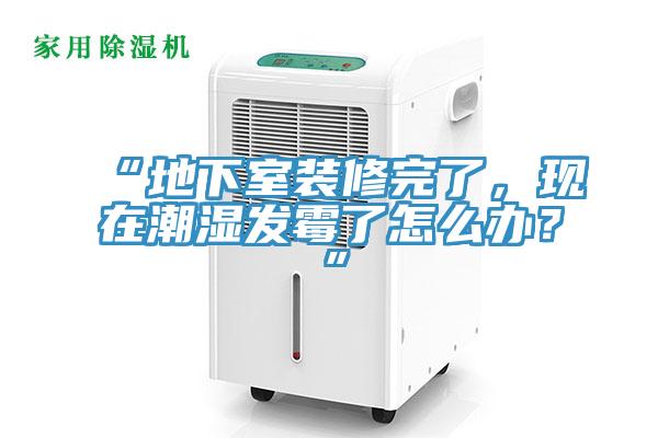 “地下室裝修完了，現(xiàn)在潮濕發(fā)霉了怎么辦？”