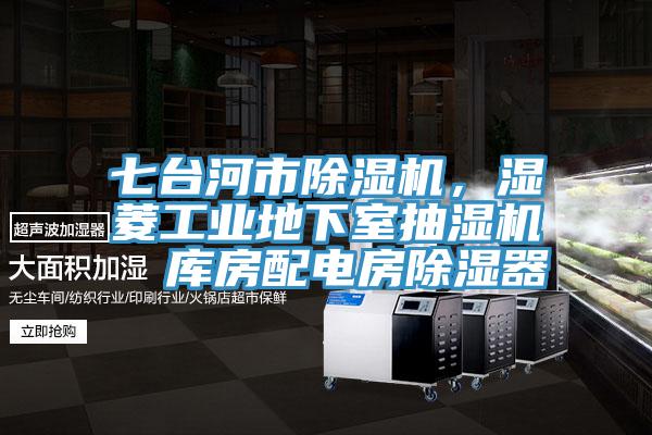 七臺(tái)河市除濕機(jī)，濕菱工業(yè)地下室抽濕機(jī)  庫房配電房除濕器