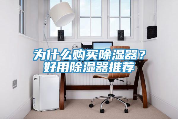 為什么購買除濕器？好用除濕器推薦