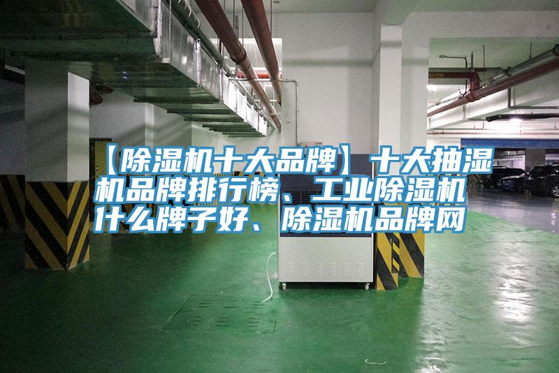 【除濕機(jī)十大品牌】十大抽濕機(jī)品牌排行榜、工業(yè)除濕機(jī)什么牌子好、除濕機(jī)品牌網(wǎng)