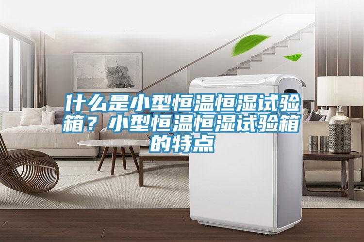 什么是小型恒溫恒濕試驗(yàn)箱？小型恒溫恒濕試驗(yàn)箱的特點(diǎn)