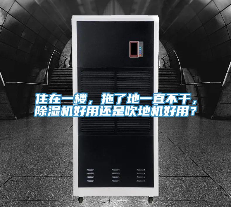 住在一樓，拖了地一直不干，除濕機(jī)好用還是吹地機(jī)好用？