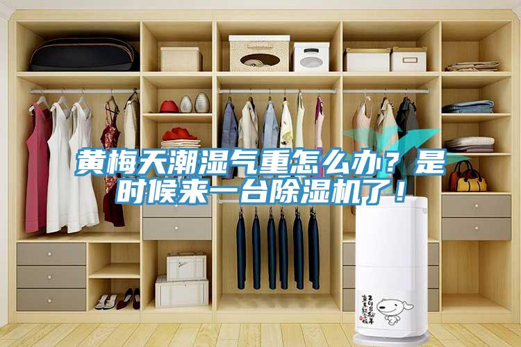 黃梅天潮濕氣重怎么辦？是時(shí)候來(lái)一臺(tái)除濕機(jī)了！