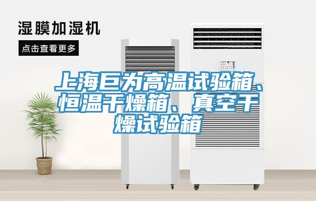 上海巨為高溫試驗箱、恒溫干燥箱、真空干燥試驗箱