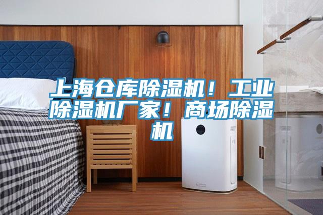 上海倉(cāng)庫(kù)除濕機(jī)！工業(yè)除濕機(jī)廠家！商場(chǎng)除濕機(jī)