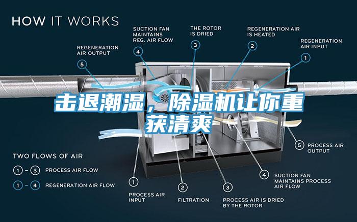 擊退潮濕，除濕機(jī)讓你重獲清爽