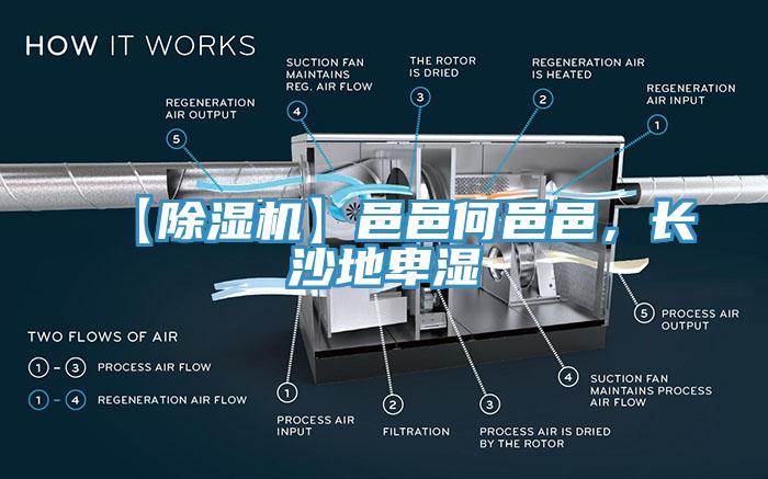 【除濕機(jī)】邑邑何邑邑，長沙地卑濕