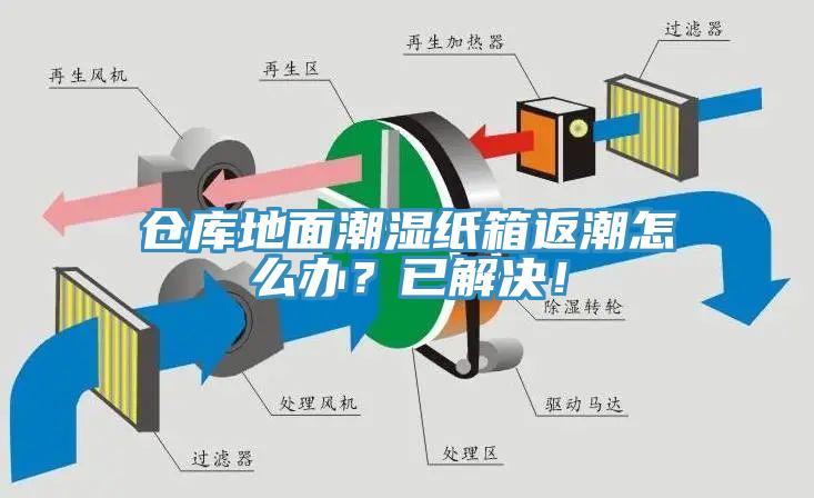 倉庫地面潮濕紙箱返潮怎么辦？已解決！