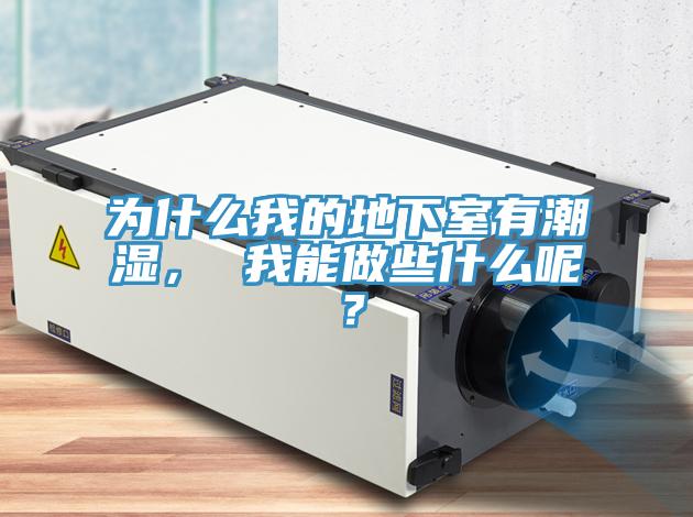 為什么我的地下室有潮濕， 我能做些什么呢？