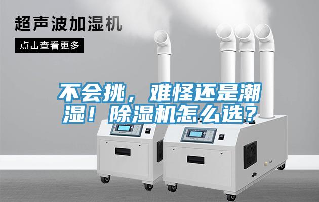 不會挑，難怪還是潮濕！除濕機(jī)怎么選？
