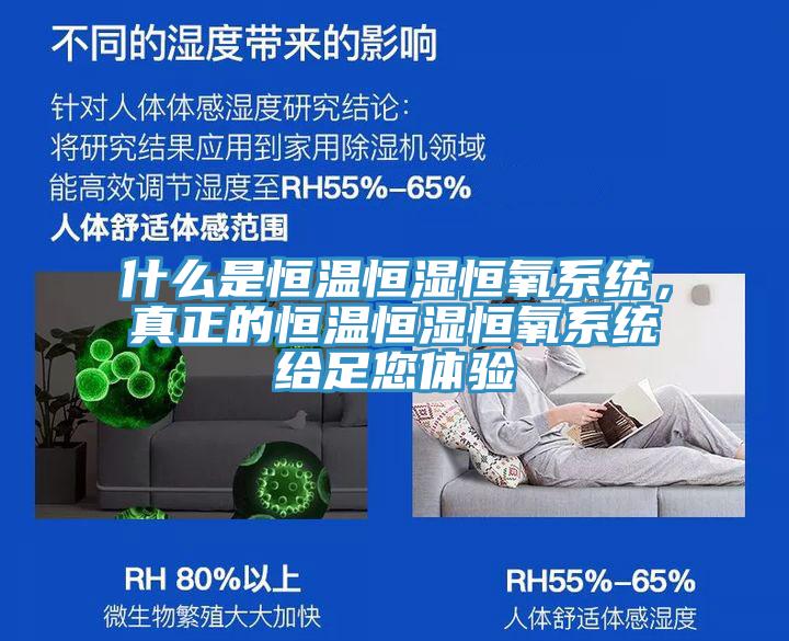 什么是恒溫恒濕恒氧系統(tǒng)，真正的恒溫恒濕恒氧系統(tǒng)給足您體驗(yàn)