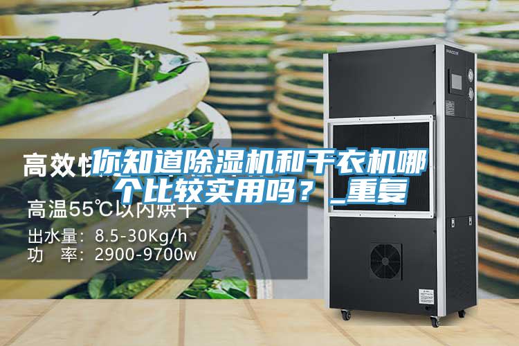 你知道除濕機(jī)和干衣機(jī)哪個(gè)比較實(shí)用嗎？_重復(fù)