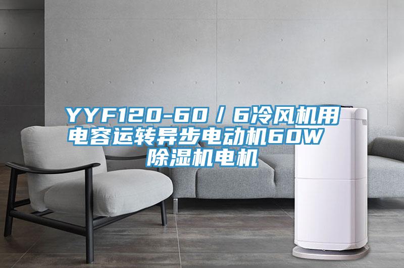 YYF120-60／6冷風(fēng)機(jī)用電容運(yùn)轉(zhuǎn)異步電動機(jī)60W 除濕機(jī)電機(jī)