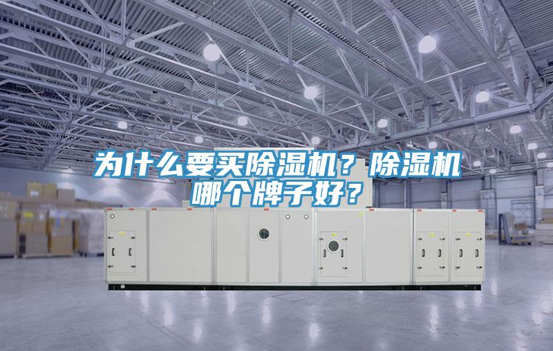 為什么要買除濕機？除濕機哪個牌子好？