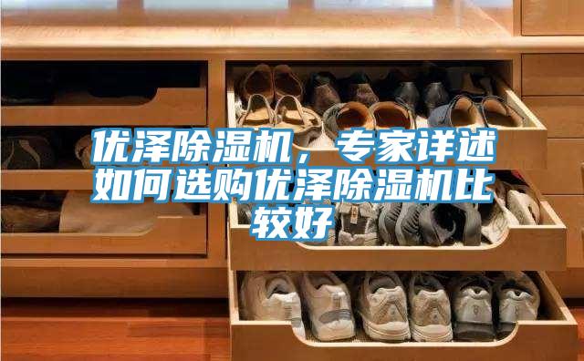 優(yōu)澤除濕機，專家詳述如何選購優(yōu)澤除濕機比較好