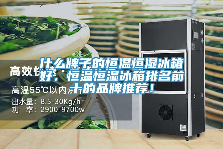 什么牌子的恒溫恒濕冰箱好，恒溫恒濕冰箱排名前十的品牌推薦！