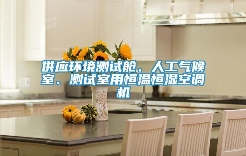 供應(yīng)環(huán)境測試艙、人工氣候室、測試室用恒溫恒濕空調(diào)機(jī)