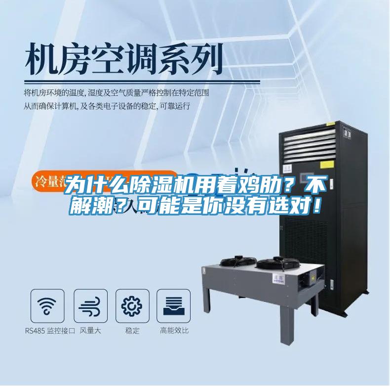 為什么除濕機用著雞肋？不解潮？可能是你沒有選對！