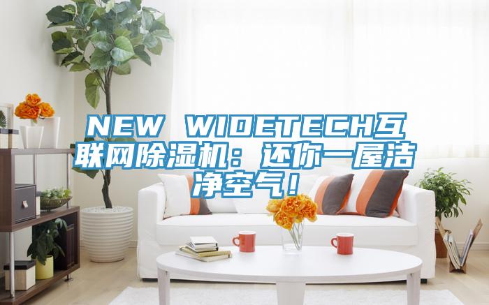NEW WIDETECH互聯(lián)網(wǎng)除濕機(jī)：還你一屋潔凈空氣！