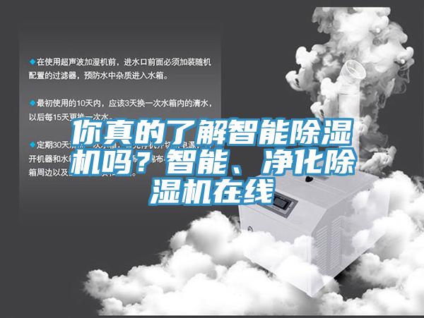 你真的了解智能除濕機(jī)嗎？智能、凈化除濕機(jī)在線(xiàn)