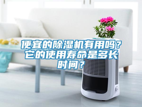 便宜的除濕機(jī)有用嗎？它的使用壽命是多長(zhǎng)時(shí)間？