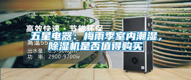 五星電器：梅雨季室內潮濕，除濕機是否值得購買