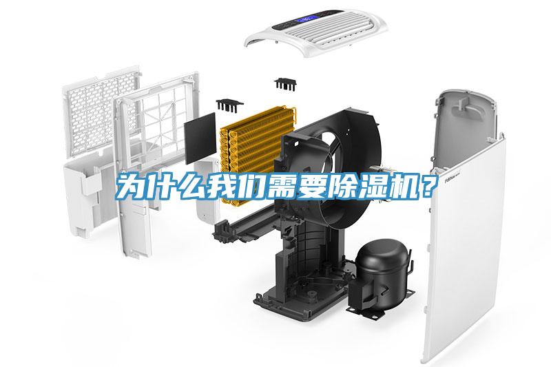 為什么我們需要除濕機？