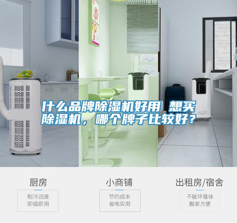 什么品牌除濕機(jī)好用 想買除濕機(jī)，哪個(gè)牌子比較好？