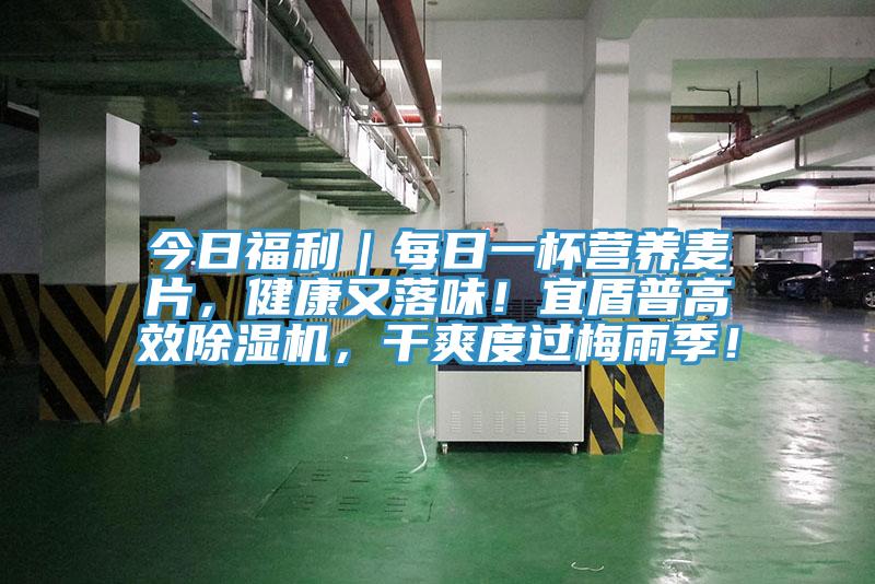 今日福利｜每日一杯營養(yǎng)麥片，健康又落味！宜盾普高效除濕機，干爽度過梅雨季！