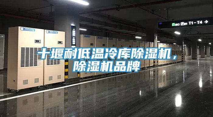 十堰耐低溫冷庫除濕機，除濕機品牌